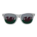 Novelty Sunglasses - Wales Flag Lens Print